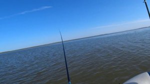 Ловля тарани в Ахтарском лимане