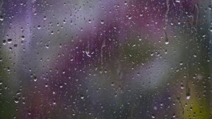 Спор Абу Бакра с Умаром - Билял Асад