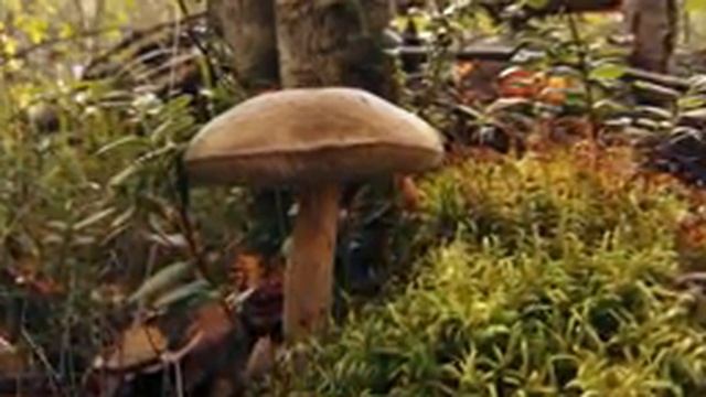 Самая Нежная и красивая музыка антистресс . Небесный сон! Очень красивая мелодия для души. смотреть онлайн