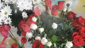 Сборная Союза – Розы алые...