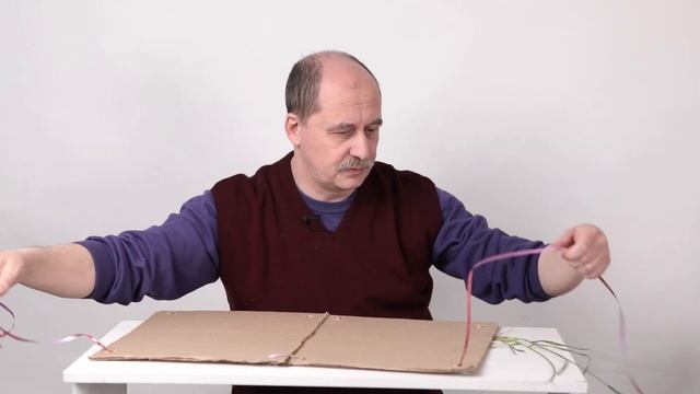 Как сделать гербарий: делаем гербарную папку! Окружающий мир: лето с Романом Борисовичем Соловьёвым смотреть онлайн