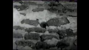 Татарский макам с персидским акцентом