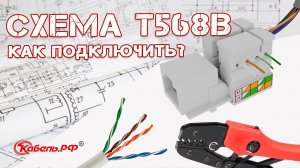 Витая пара. Обжим витой пары. Схема T568B