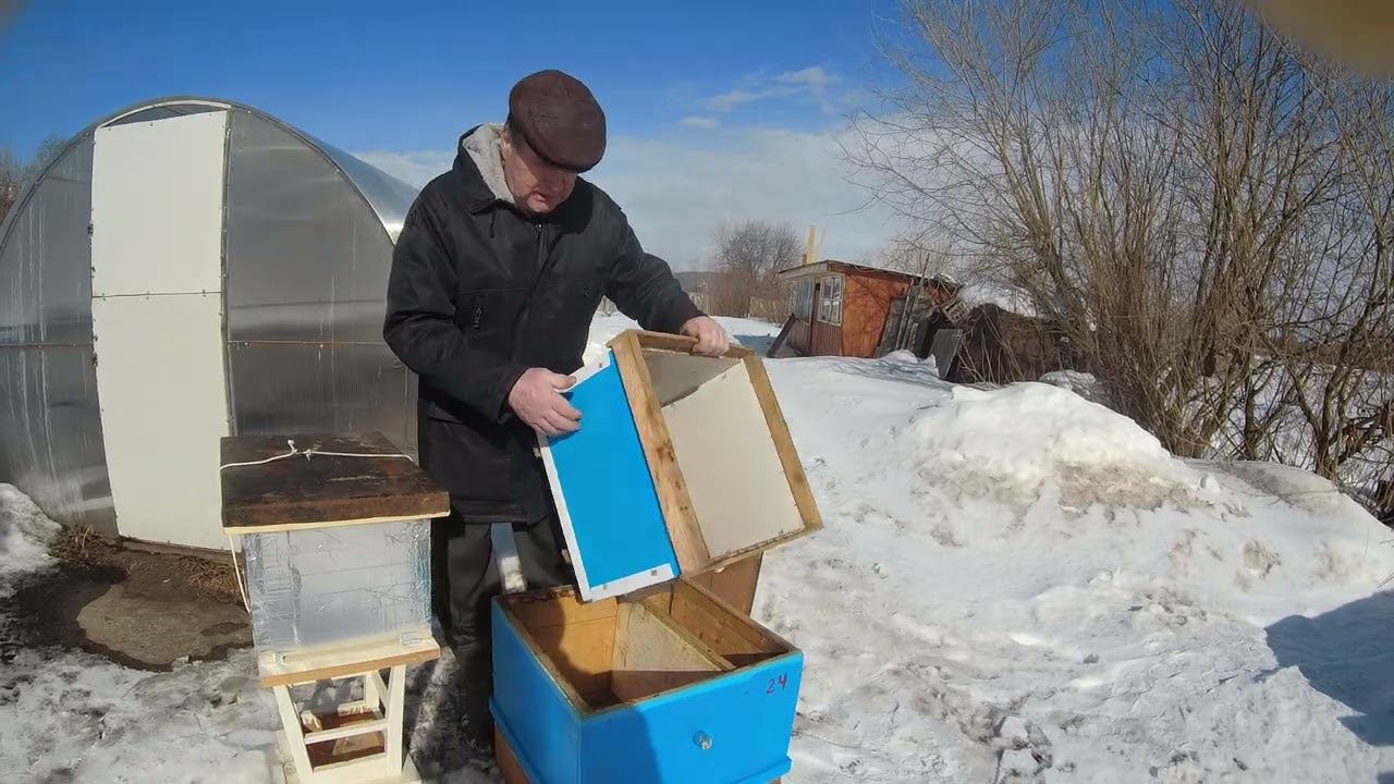 Улей ППС восьмирамочный смотреть онлайн