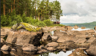 Самый красивый звук мягкого журчания воды для сна и отдыха ✦ relax ✦ sounds of the forest