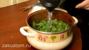 Мятный сироп - рецепт приготовления вкуснейшего домашнего лакомства