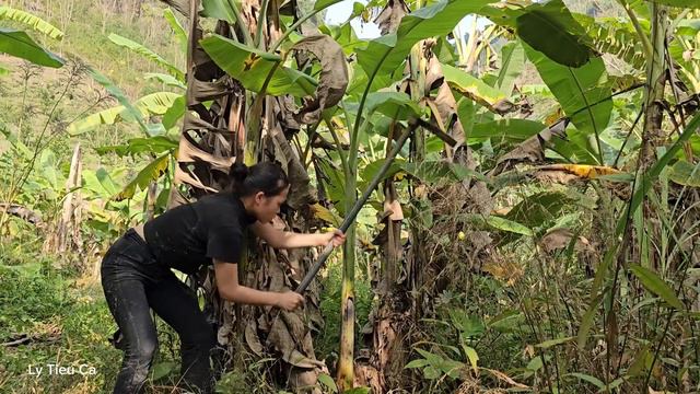3 Days - Life of a 17 Year Old Single Mother - Upland Market & Banana Farming смотреть онлайн