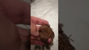 Как чистить стиральную машину