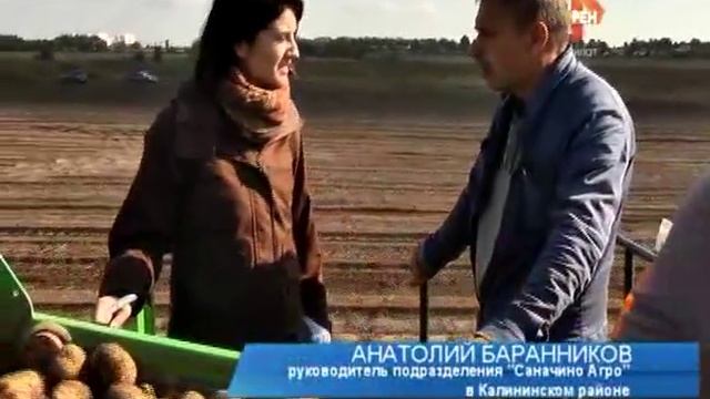 Картофель рекордсмен. 2015 09 14 смотреть онлайн
