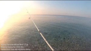 Duo Tetra Works 48 HS ile Light Rock Fishing (LRF) Zargana Avı/Kuzu Salımı/Ultra Light 26.06.2018