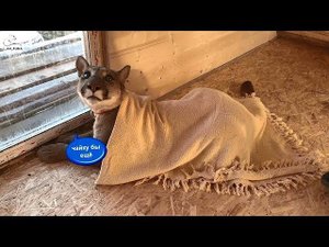 Месси не хочет уезжать из нового дома