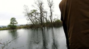 Воблер легенда! УЛ ПРИМАНКА. Zipbaits Rigge 35 РИДЖ 35 ! (копия) рыбалка весна 2