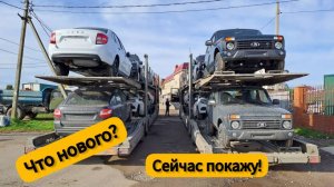 Кто бы мог подумать! LADA разбавляет краски. Посмотрел днище на Гранте, тут всё  хорошо ???