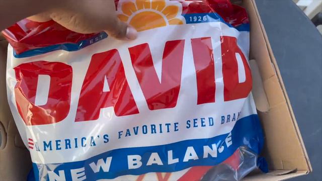 2021 Turf Cleats: New Balance Fresh Foam- David Sunflower Seeds Edition смотреть онлайн