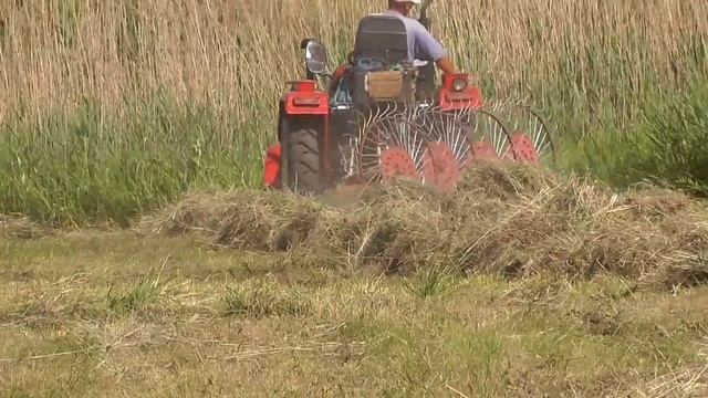 Заготовка СЕНА Трактором ! Весь Процесс Заготовки !/коса/грабли/пресс подборщик/harvesting hay смотреть онлайн