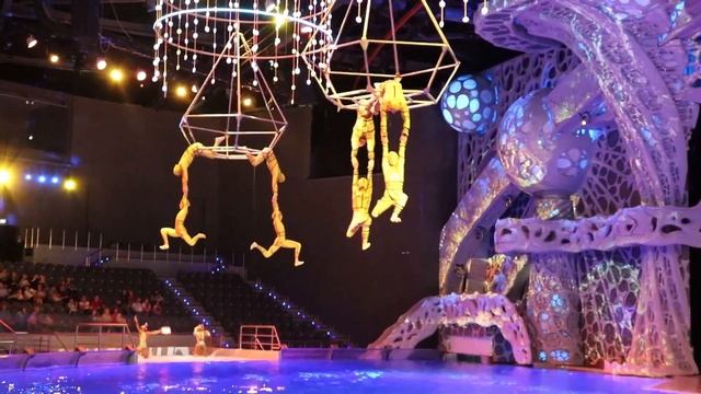 Мюзикл Сон в Летнюю ночь в Москвариуме на ВДНХ смотреть онлайн