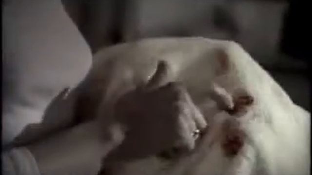 Гостиница, реклама стирального порошка Ariel смотреть онлайн