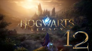 Hogwarts Legacy [Хогвартс наследие] №12