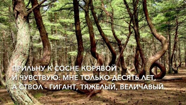 И.А.Бунин Детство смотреть онлайн