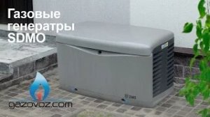 Газовый генератор SDMO KOHLER обзор, отзывы