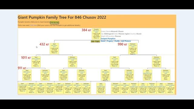 Гигантские тыквы 2023 #1 - Что посеешь, то и пожнёшь смотреть онлайн