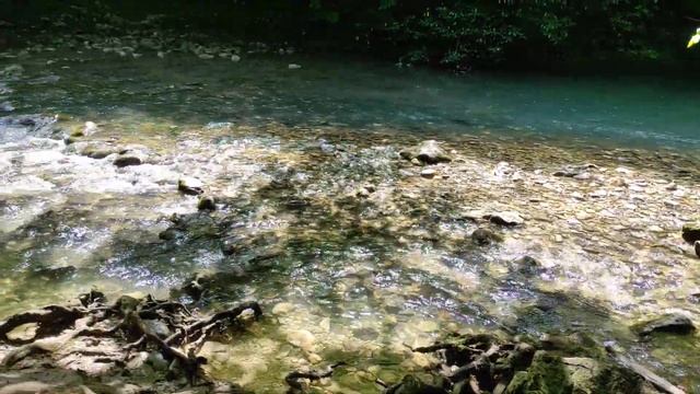 Черниговка Абхазия Сухум смотреть онлайн