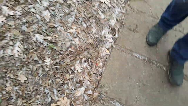 Прогулка к "Слону" смотреть онлайн