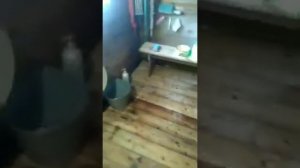 Как протопить баню при помощи всего лишь 9 березовых поленьев_(240p)