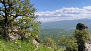Шаханы, Псебай