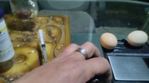 Тетрамизол и АСД фракция для кур несушек.
