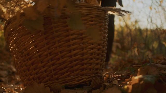 Провожаем последние теплые дни осени | Венок из сухоцветов. смотреть онлайн