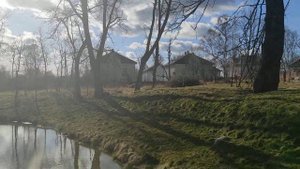 Калининград, Переславское. Пруд с карпами.