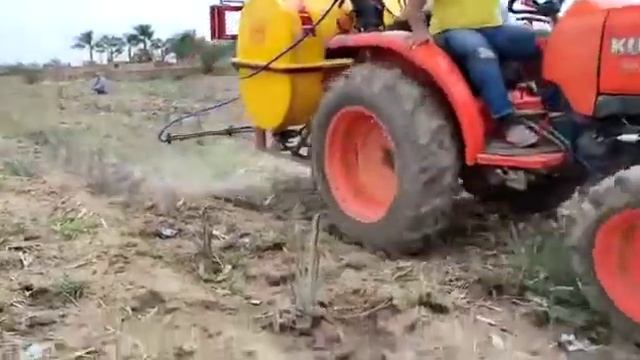 agave (2) смотреть онлайн