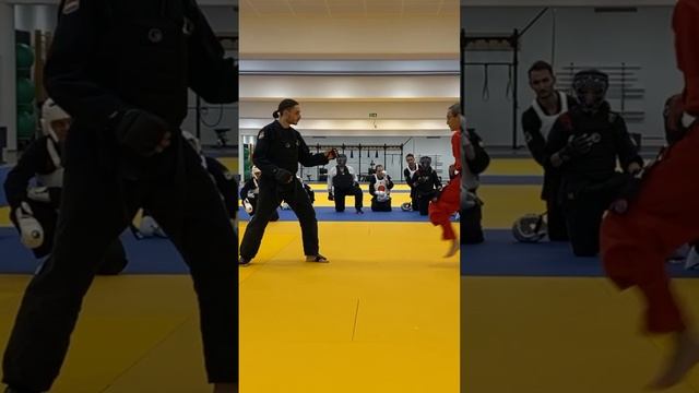 Int/Adv Sparring Combinations by Hwa Rang Do® Grandmaster Taejoon Lee