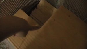 Второй этаж в клетке Морской свинки