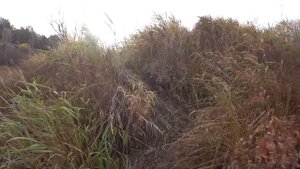 Рыбалка на Иртыше. Налим Основная цель. Рыбачим на Иртыше и Соре. Лютый Ветрище.