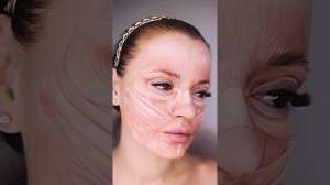 Анатомия: Мышцы лица