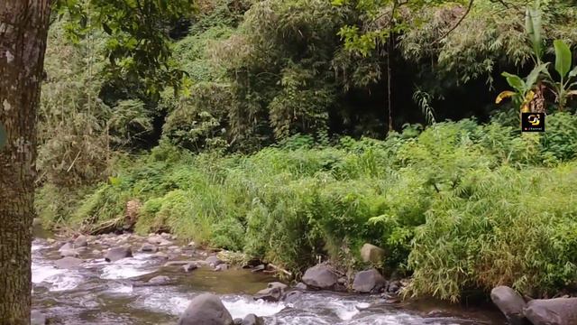 KEINDAHAN KAMPUNG TERPENCIL DI PELOSOK PENGUNUNGAN