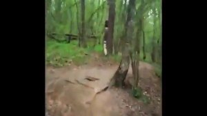 Cool trip. На велосипедах по бездорожью.