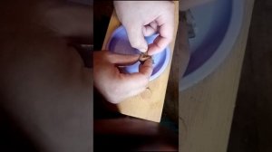 Варенье из дикой сливы, различия. #кухня