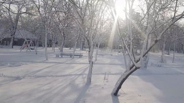 ЗИМНЯЯ СКАЗКА В ОДЕССЕ смотреть онлайн