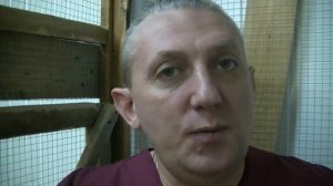 Правильное кормление волнистых попугаев. Часть вторая. Минеральный корм, камень, вода и купание.