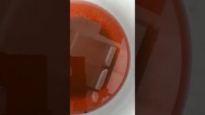 Лайфхак, как избавиться от мух в гараже)