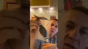 Груша резиновая, ручной насос для перекачки топлива 12мм HD-00989