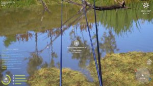 АКТИВНЫЙ КЛЕВ ВОБЛЫ НА РЕКЕ АХТУБА В РУССКОЙ РЫБАЛКЕ 4 РР4