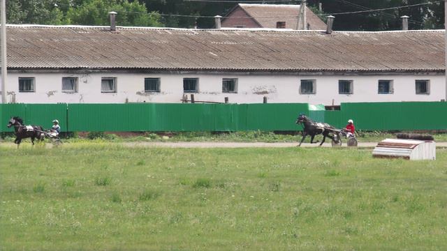 6.07.2024г.Абаканский Ипподром Лошади орловской рысистой породы 3-х лет 1600м