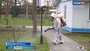В детских лагерях Ленинградской области началась противоклещевая обработка