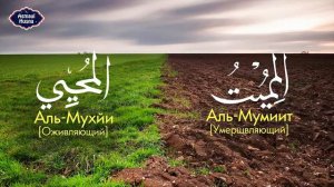 Имя Аллаха 99.Name Allah 99