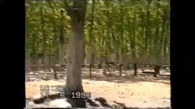 Билитуй  16604