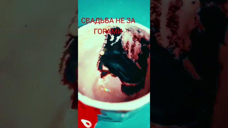 И ПЛАКАТЬ И СМЕЯТЬСЯ ОТ СЧАСТЬЯ♥️ #youtube #shorts #tiktok